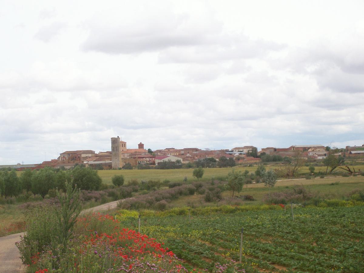 Gasthaus Quinta Del Canal Tamariz de Campos Exterior foto